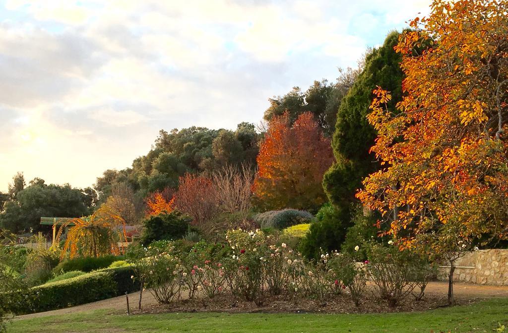 Yankalilla The Garden Cottage At The Olives المظهر الخارجي الصورة